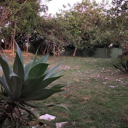 شقة Gerais Loft São Roque de Minas المظهر الخارجي الصورة